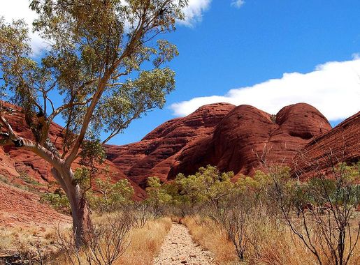 File:01-valley-of-the-wind-walk-olgas-kata-tjuta-australia.JPG - Wikimedia  Commons