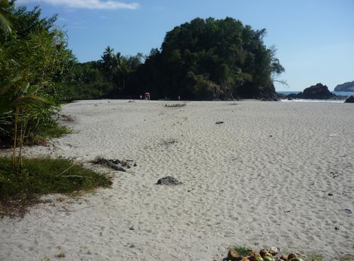 Archivo:Playa Espadilla Norte P.N. Manuel Antonio.JPG - Wikipedia, la  enciclopedia libre