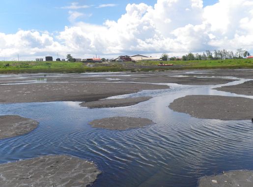 File:Pitch Lake.JPG - Wikimedia Commons