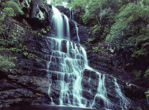 File:Kalang Falls Kanangra-Boyd NP.jpg - Wikimedia Commons