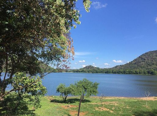 File:Lake side view, Minneriya Sri Lanka.jpg - Wikimedia Commons