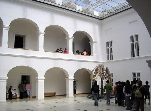 Fájl:Matra-Muzeum3-big.jpg – Wikipédia