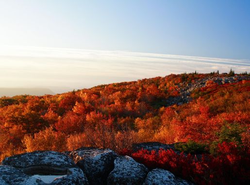File:Sunrise-dolly-sods-fall-mountain-view - West Virginia -  ForestWander.jpg - Wikimedia Commons