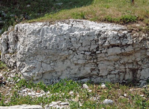 File:Dolostone (Put-in-Bay Dolomite, Upper Silurian; South Bass Island,  Lake Erie, Ohio, USA) 3 (48541324382).jpg - Wikimedia Commons