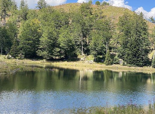 File:Lura National Park.jpg - Wikimedia Commons