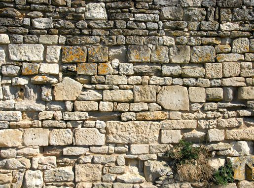 Abtei Maillezais – Wikipedia
