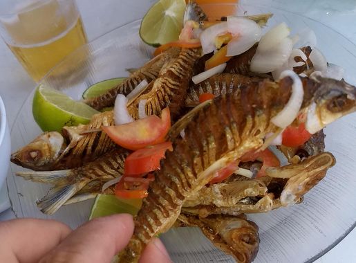 File:Charutinho frito.jpg - Wikimedia Commons