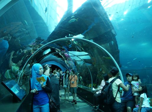 File:S.E.A. Aquarium, Marine Life Park, Resorts World Sentosa, Singapore -  20130105-05.JPG - Wikimedia Commons