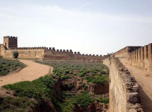 Archivo:Vista desde el adarve dela Alcazaba de Badajoz.JPG - Wikipedia, la  enciclopedia libre