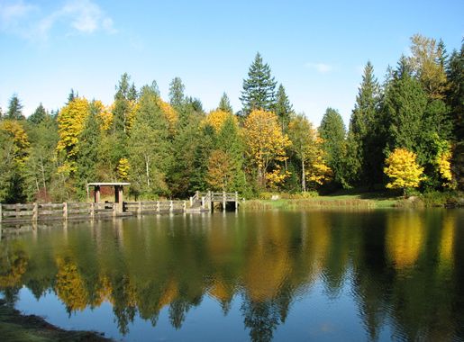 File:Silver Lake, Whatcom County, Washington (2008-10-18), 06.jpg -  Wikimedia Commons
