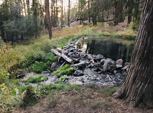 File:McCauley Hot Springs, Jemez Springs, NM, USA.jpg - Wikimedia Commons
