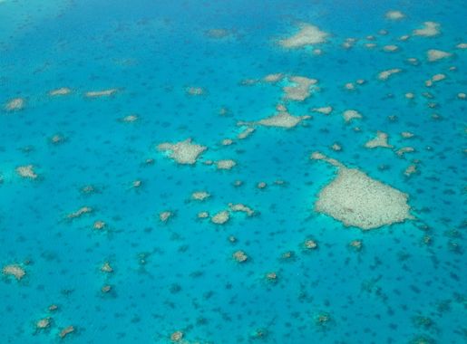 Fichier:New Caledonia lagoon.jpg — Wikipédia
