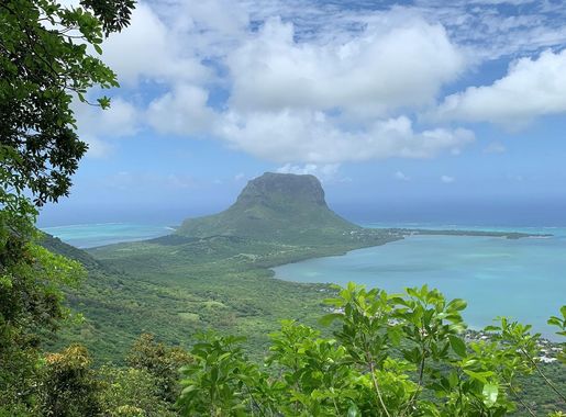 File:Ebony Forest Chamarel - View of Le Morne 2.jpg - Wikimedia Commons