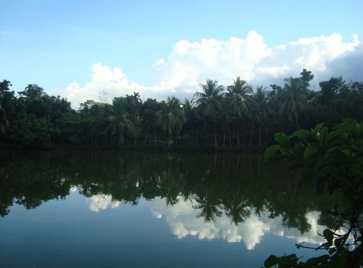 File:গ্রামের পুকুর এবং আকাশের মেঘের দৃশ্য.JPG - Wikimedia Commons