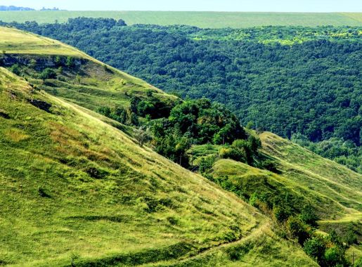 File:Formatiuni geologice langa Naslavcea Ocnita (03).jpg - Wikimedia  Commons