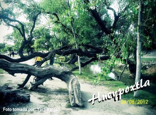 File:RIO SALADO DE HUEYPOXTLA 004.JPG - Wikimedia Commons