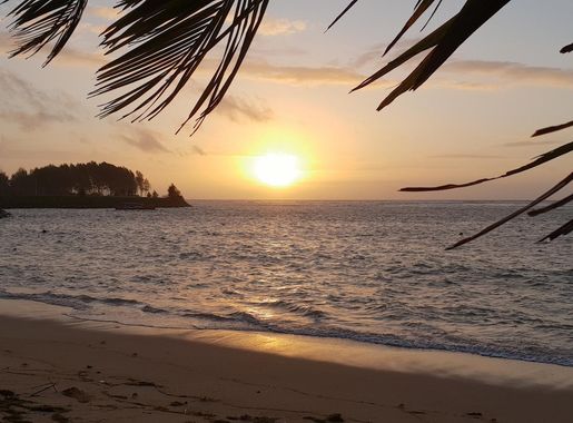 Fichier:MAHE - Anse aux pins 4 (43254246895).jpg — Wikipédia