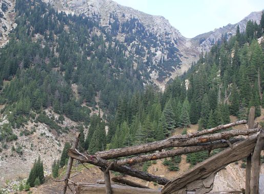 File:Jaw Da Chitraas,Wama,Nuristan,Afghanistan - panoramio.jpg - Wikimedia  Commons