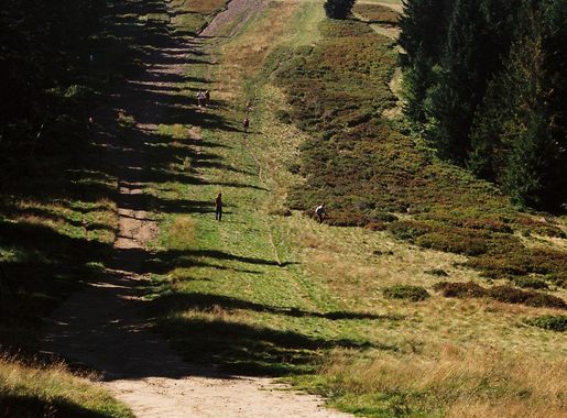 Plik:Klimczok z przeleczy.jpg – Wikipedia, wolna encyklopedia