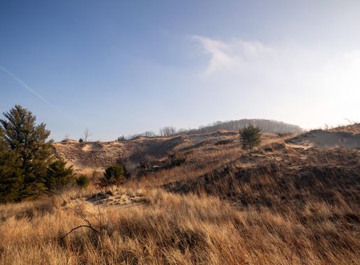 File:Indiana Dunes National Park (50218123727).jpg - Wikimedia Commons