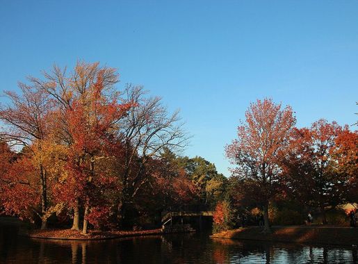 File:Roger Williams Park Swan Boat Pond, Providence, RI, in Autumn.JPG -  Wikimedia Commons