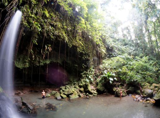 File:Emerald Pool Dominica.JPG - Wikimedia Commons