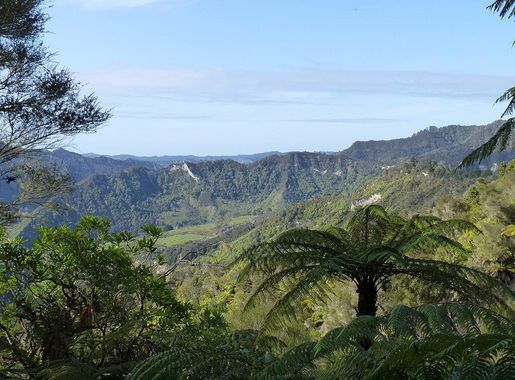 File:Atene Skyline Track - view of Ahuahu Valley, Whanganui National Park,  New Zealand (20).JPG - Wikimedia Commons