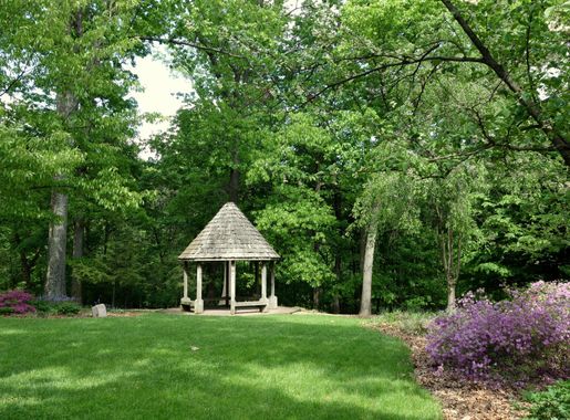 File:Mount Airy Arboretum - DSC03845.JPG - Wikimedia Commons