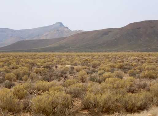 File:Tankwa Karoo National Park (37317357751).jpg - Wikipedia