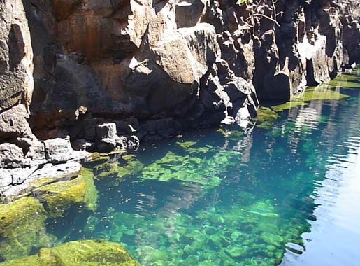 File:Fresh Water Swimming in the Galapagos on the Island of Santa Cruz.JPG  - Wikimedia Commons