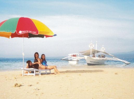 File:MOAP Dolphin Island.jpg - Wikipedia