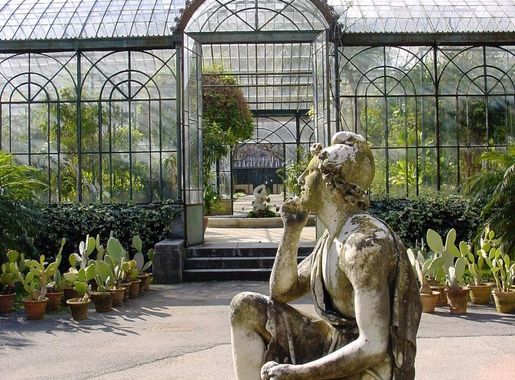 File:Orto botanico Palermo 04.jpg - Wikipedia