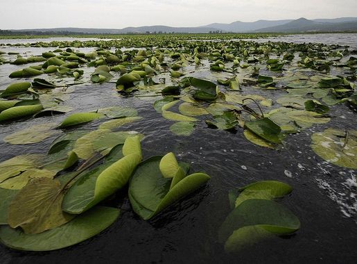 File:Lac tonga el kala.JPG - Wikimedia Commons