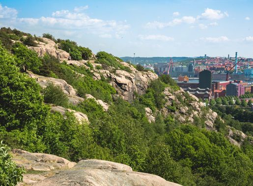 File:Ramberget - vy i ostlig riktning.jpg - Wikimedia Commons