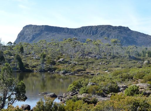 File:Solomons Jewels in Walls of Jerusalem National Park.jpg - Wikimedia  Commons