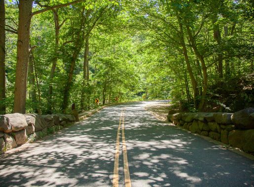 National Park Service proposes seasonal closure of upper portion of Beach  Drive in Rock Creek Park - Rock Creek Park (U.S. National Park Service)