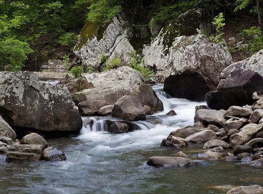 File:Richland Creek in the Richland Creek Wilderness, AR.jpg - Wikimedia  Commons
