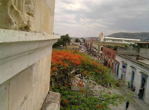 File:Museo de las Culturas de Oaxaca.jpg - Wikimedia Commons