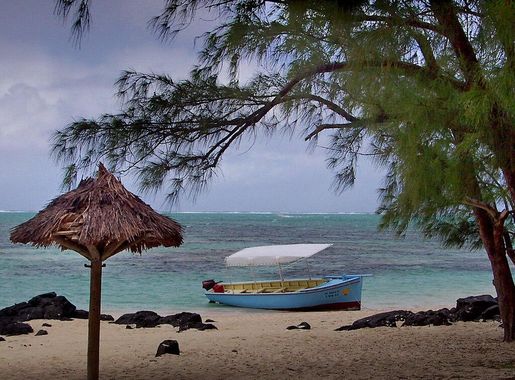 File:Sur l'ile aux cerfs.JPG - Wikimedia Commons