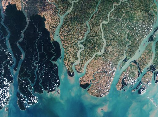 File:Sundarbans web ESA362980.jpg - Wikimedia Commons