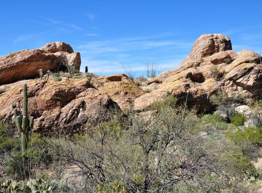 File:Javelina Rocks in the RMD.jpg - Wikimedia Commons