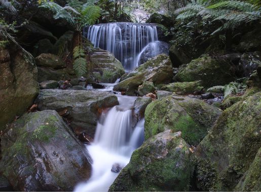 File:Leura cascades in the Blue Mountains.jpg - Wikimedia Commons