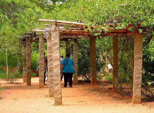 File:Pathway of Auroville Botanical Gardens.jpg - Wikimedia Commons