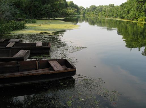 File:Bodrogkeresztúr, 3916 Hungary - panoramio (10).jpg - Wikimedia Commons