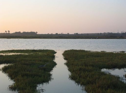 File:Bolsa Chica Wetland Reserves.jpg - Wikimedia Commons