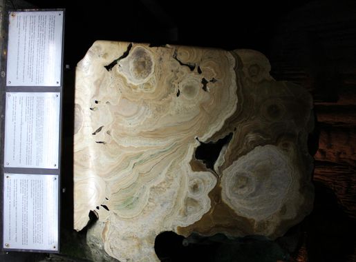 File:St Michael's Cave, Gibraltar, stalactite cross section.JPG - Wikimedia  Commons