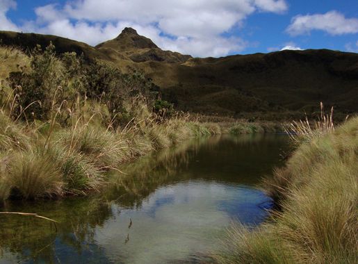 Archivo:LagunaBanosCayambeCocaNapoEcuador.jpg - Wikipedia, la enciclopedia  libre