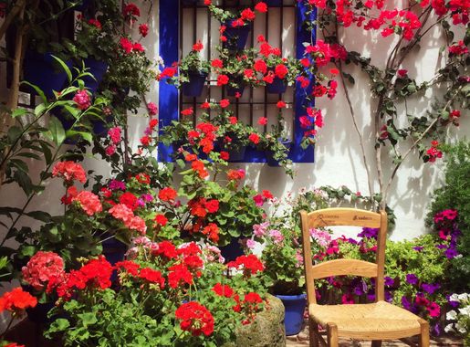 File:Interior patio with chair and flowers at the Patio Festival in Córdoba,  Andalucía, Spain.jpg - Wikimedia Commons