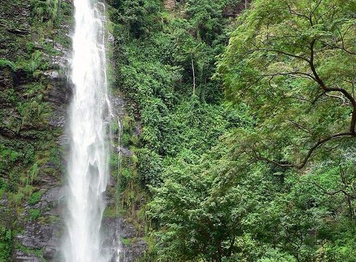 File:Wli Lower Fall-4.jpg - Wikipedia