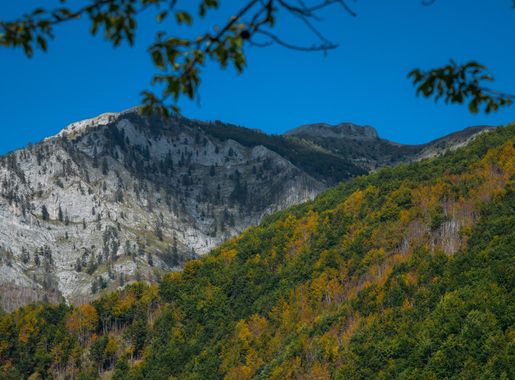 File:Lëpushë 1.jpg - Wikimedia Commons